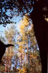 Copyright © 2005 Beate Hefler. Alle Rechte vorbehalten. Bild Nr. 061