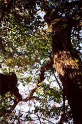 Copyright © 2005 Beate Hefler. Alle Rechte vorbehalten. Bild Nr. 062