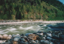 Copyright © 2010 Beate Hefler. Alle Rechte vorbehalten. Bild Nr. 070