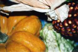 Copyright &copy; 2005 Beate Hefler. Alle Rechte vorbehalten. Bild Nr. 196