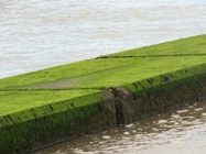 Augenweide Copyright © 2015 Beate Hefler. Alle Rechte vorbehalten.