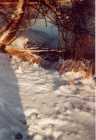 Copyright &copy; 2005 Beate Hefler. Alle Rechte vorbehalten. Bild Nr. 226