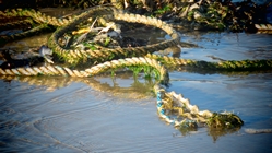 Copyright © 2015 Beate Hefler. Alle Rechte vorbehalten. Borkum