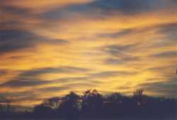 Copyright © 2005 Beate Hefler. Alle Rechte vorbehalten. Bild Nr. 304