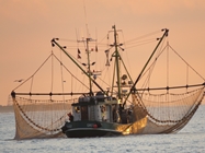 Copyright © 2015 Beate Hefler. Alle Rechte vorbehalten. Borkum