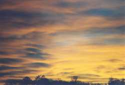 Copyright © 2005 Beate Hefler. Alle Rechte vorbehalten. Bild Nr. 319