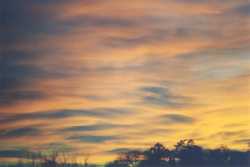 Copyright © 2005 Beate Hefler. Alle Rechte vorbehalten. Bild Nr. 321