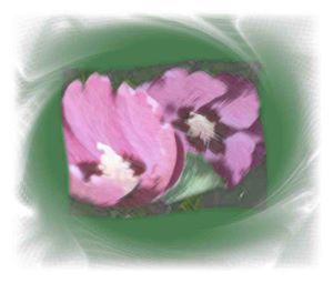 Bildtitel: Bluetenwirbelt (c) Copyright Beate Hefler. Alle Rechte vorbehalten