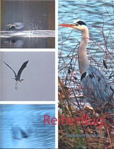 buch reiherflug seelenverbindung von beate hefler
