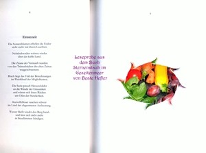 (c) copyright alle Rechte vorbehalten by Beate Hefler Sternenstaub im Gezeitenmeer