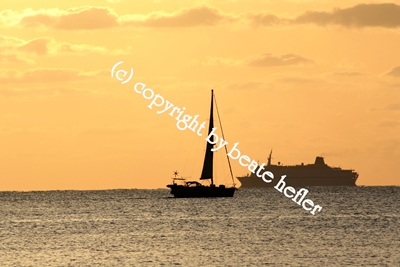 Copyright © 2012 Beate Hefler. Alle Rechte vorbehalten. Bild David und Goliath