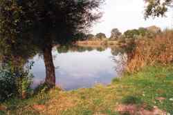 Copyright © 2005 Beate Hefler. Alle Rechte vorbehalten. Bild Nr. 124