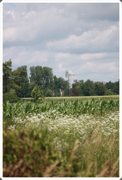 Bildtitel: alleins (c) Copyright Beate Hefler. Alle Rechte vorbehalten