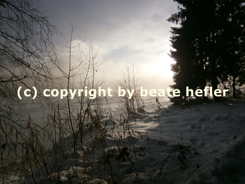 Copyright © 2012 Beate Hefler. Alle Rechte vorbehalten. Bildtitel Gedankenfreiheit