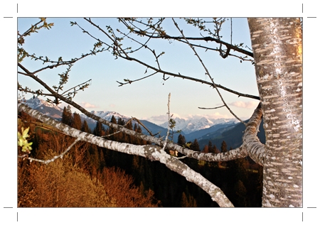 Bildtitel: Berg und Baum (c) Copyright Beate Hefler. Alle Rechte vorbehalten
