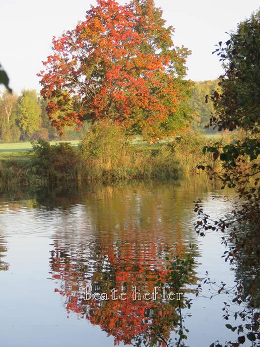 Bildtitel: Seebild zu Lyrik Wow (c) Copyright Beate Hefler. Alle Rechte vorbehalten